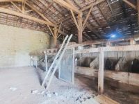 COW BARN INSIDE.jpg