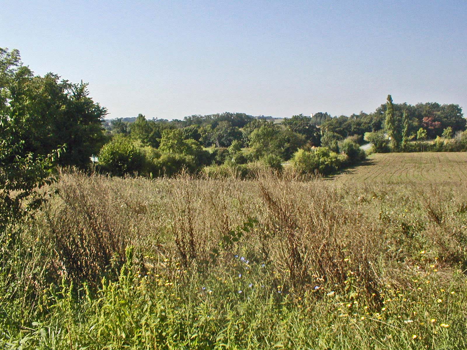 A fabulous building plot with outlined planning permission close to the village of Lauzun